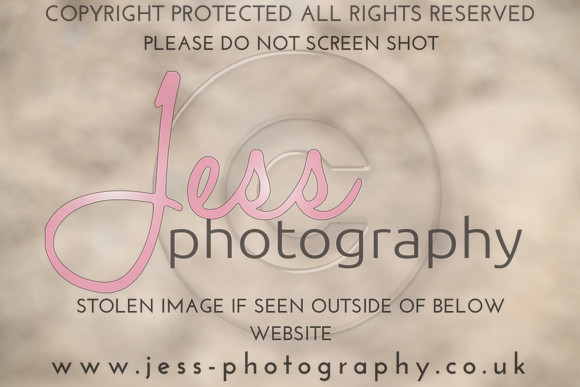 JESS (95)