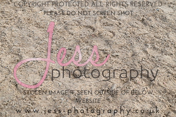 JESS (112)