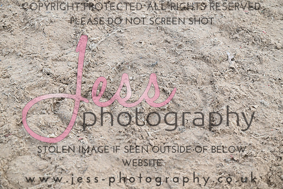 JESS (68)