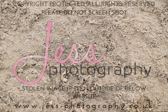 JESS (146)