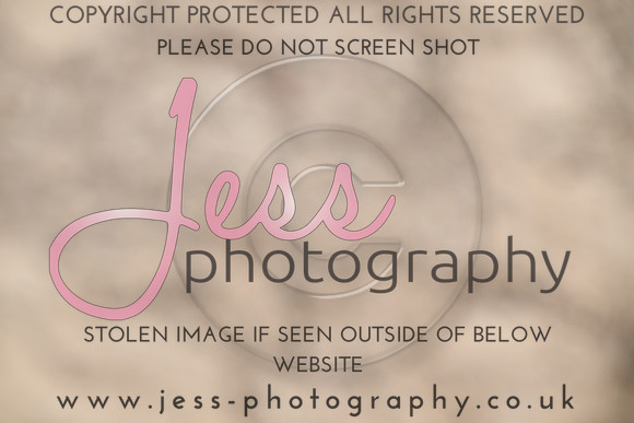 JESS (155)