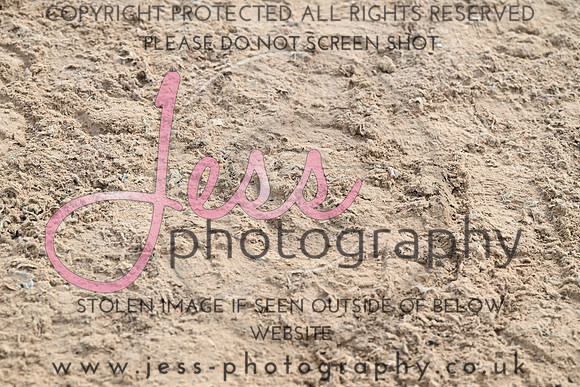 JESS (168)