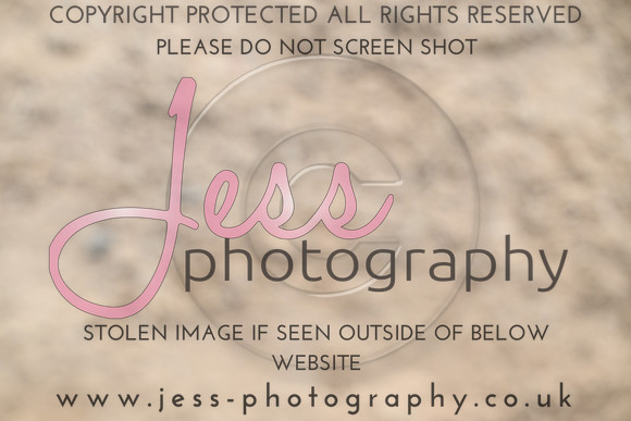 JESS (177)