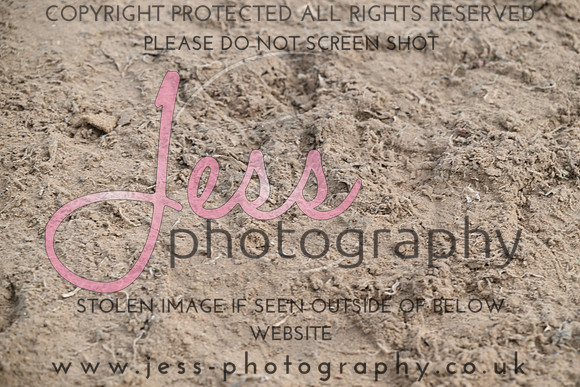 JES (85)
