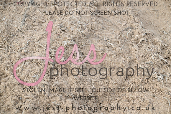 JES (230)