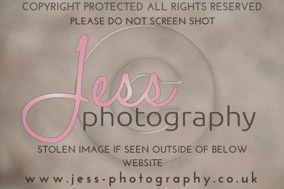 JES (244)