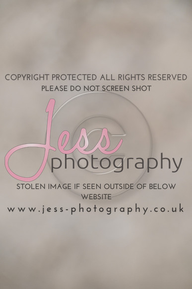 JES (259)