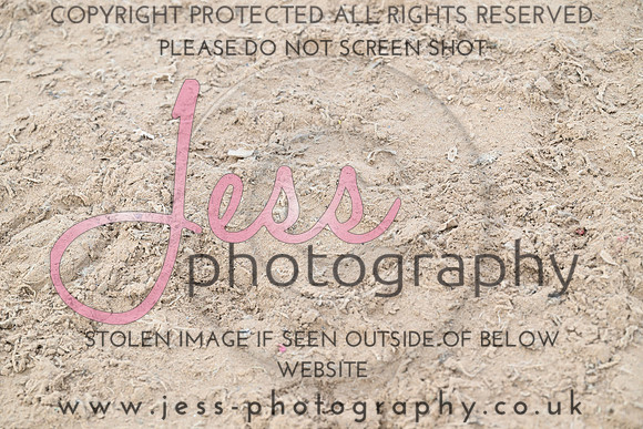 JES (305)