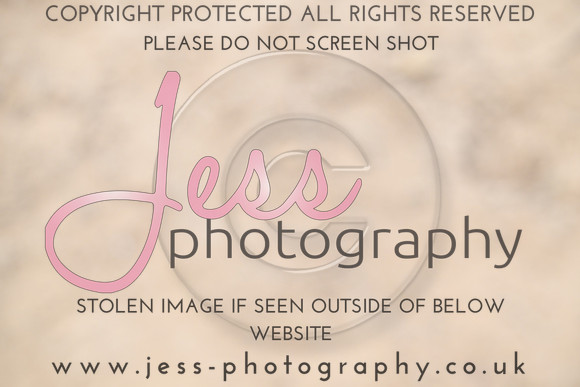 JES (332)