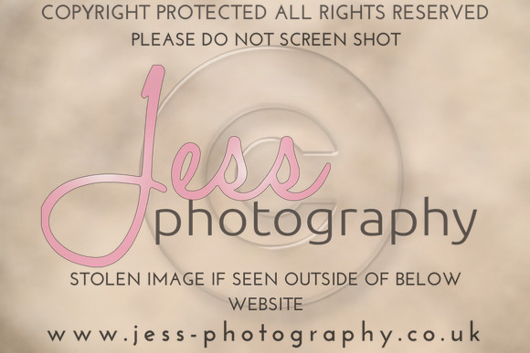 JES (341)