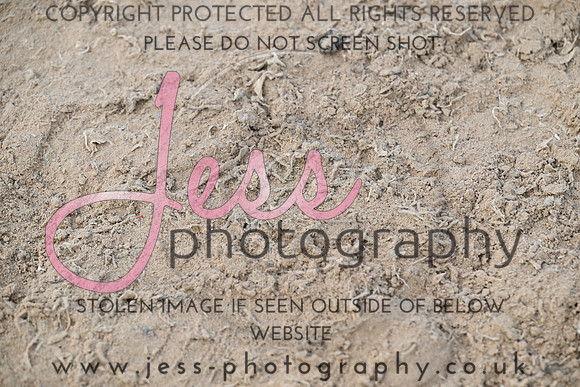 JES (395)