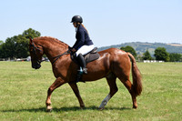 ACE (359)