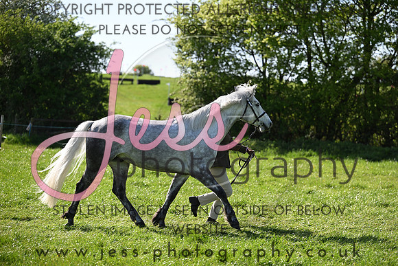 TGIS (396)