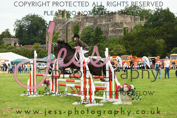 DJH_6834