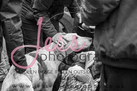 JES_0846