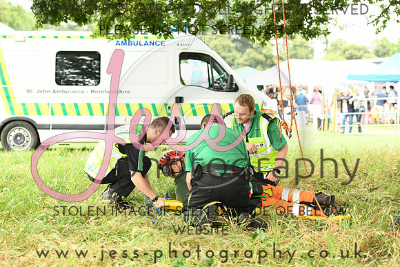 DJH_3991