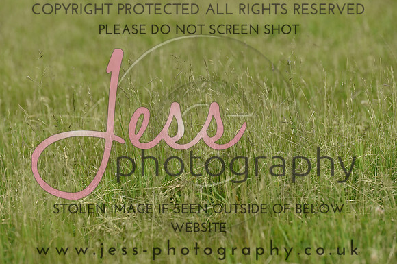 JES_8812