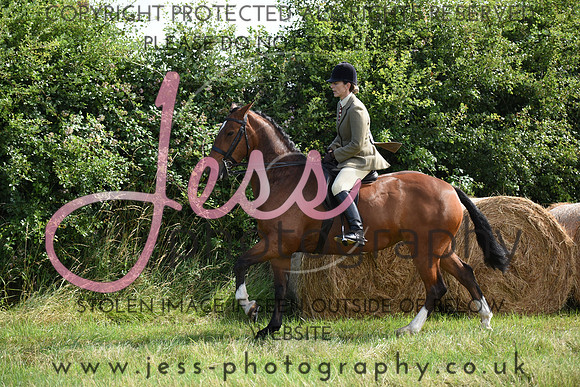 JES_7102