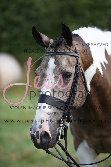 JES_7166
