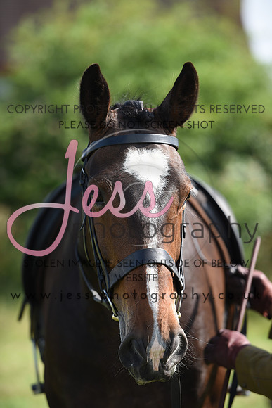 JES_7159
