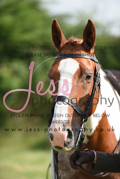 JES_7146