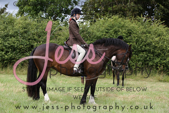 6V3A0806