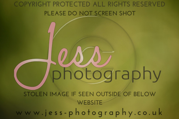 JES (205)