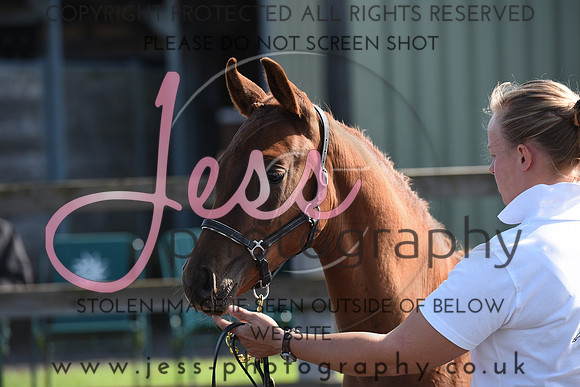 JES_4128