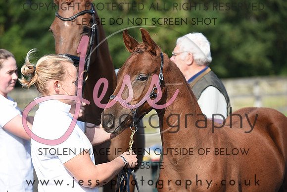 JES_4093