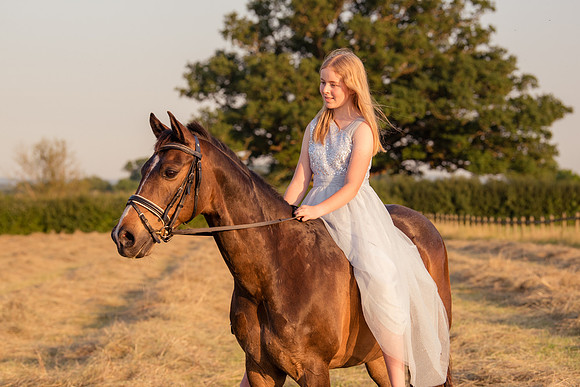 DSC_5528