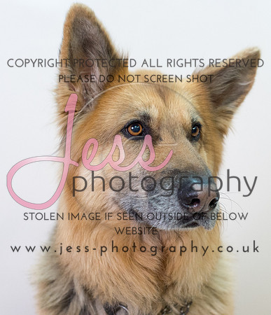 JES_6086