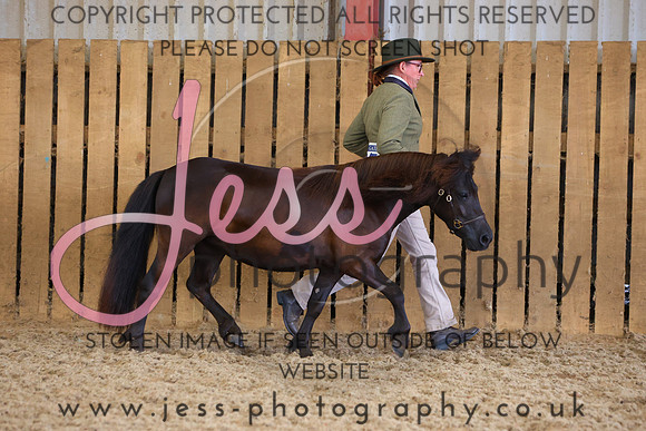 TGS_0955