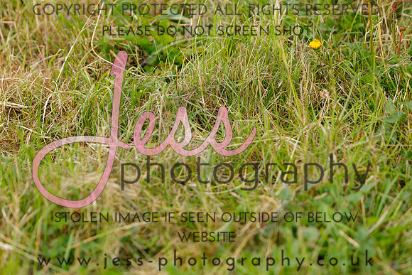 _MGM0336