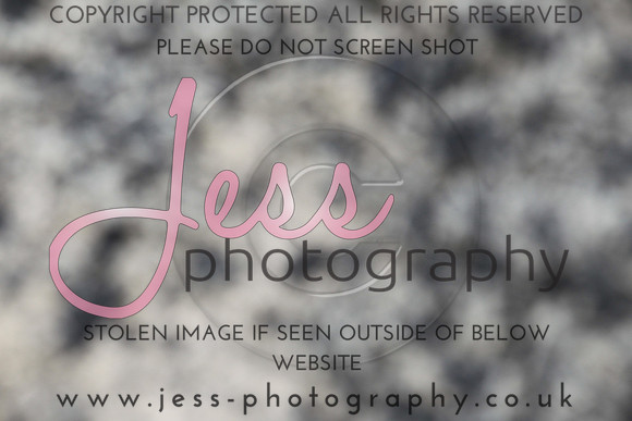 JES_6072