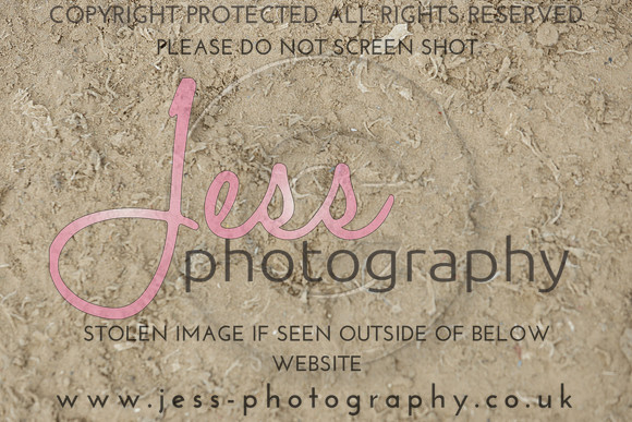 _J1A6616