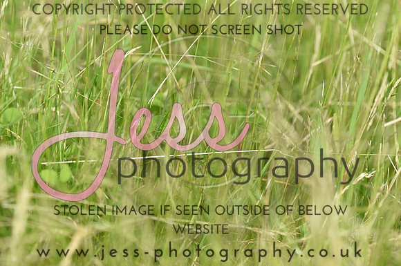 JES_8826