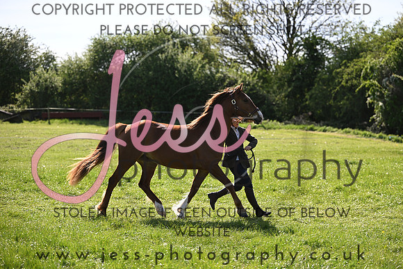 TGIS (375)