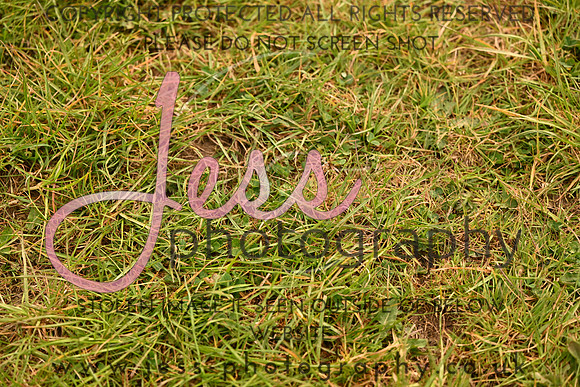 JES_4527
