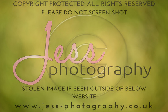 JES (213)
