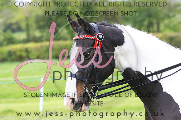 JES_0799