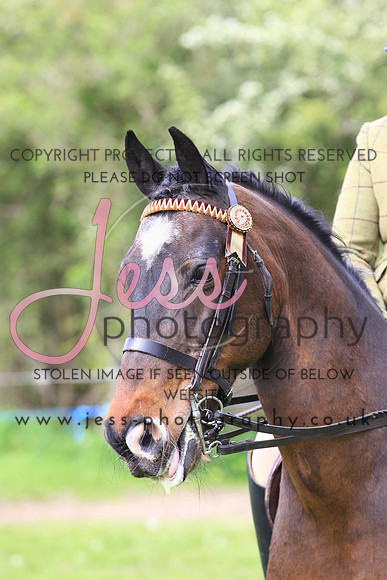 JES_0857
