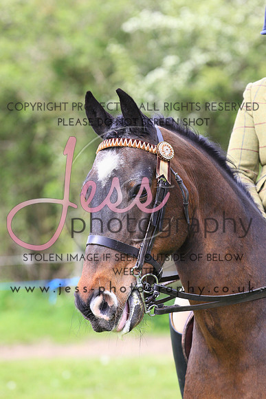 JES_0858