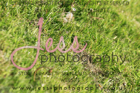 JES_0936