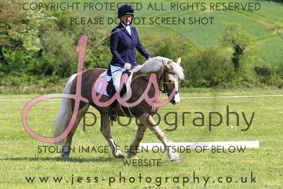 JES_0971