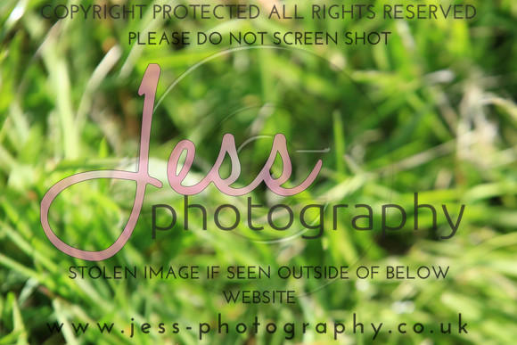 JES_1013