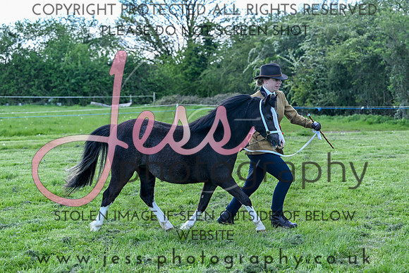 TSS (208)