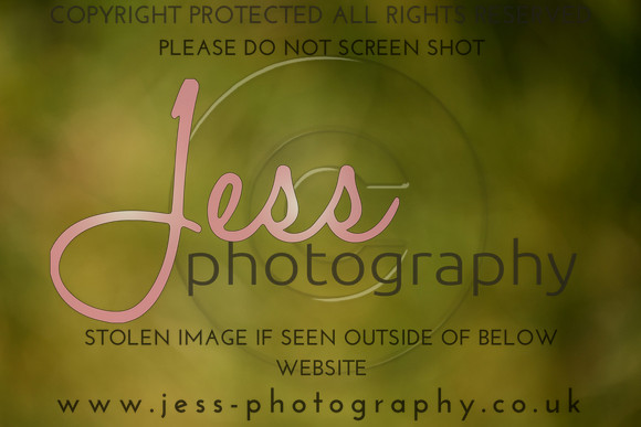 JES_4681