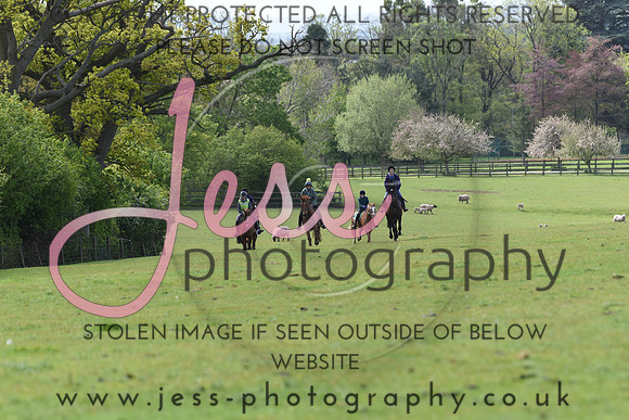 JES_3669