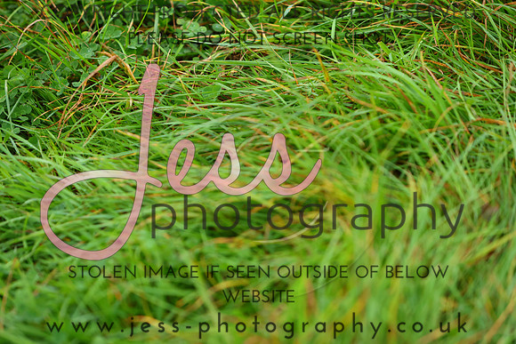 IMGM3666