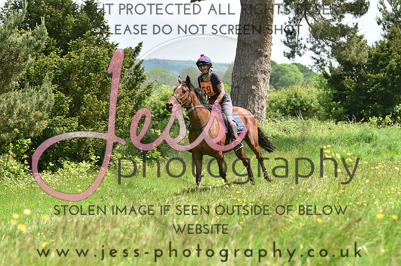 JES_8563